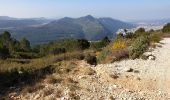 Trail Walking Gémenos - Coulin, Mont Cruvelier, Sommet de Bigou - Photo 1