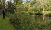 Tour Wandern Saint-Céneri-le-Gérei - Saint ceneri - Photo 18