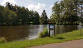 Trail Walking Beulotte-Saint-Laurent - Beulotte St Laurent - le plateau des Mille Etangs - Photo 17