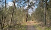 Trail Walking Woensdrecht - Volksabdij Kalmthout 14,8 km - Photo 3
