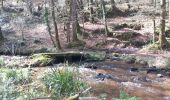 Trail Walking Saint-Michel-en-Grève - GR_34_EF_34_St-Michel-Greve_Plestin-Greves_20250329 - Photo 8