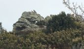 Tour Wandern Boule-d'Amont - Serrabone /le roc rouge(le rocher du dragon):itinéraire 2 - Photo 3