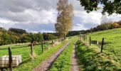 Trail Walking Lierneux - Promenade vers la réserve naturelle de Colanhan (8km)  - Photo 19