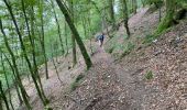 Tour Wandern Vresse-sur-Semois - Rochehaut 25 km - Photo 5