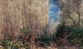 Trail Walking Florenville - Herbeumont 080322 - Photo 5