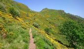 Excursión Senderismo Laveissière - Cantal - le Lioran - Bec de l Aigle - 10.8km 540m 4h55 - 2019 06 26 - Photo 4