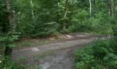 Trail Walking Compiègne - Randonnée en Forêt de Compiègne_51_le Mont du Tremble et les Beaux Monts - Photo 8