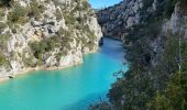 Percorso Marcia Montmeyan - Basses gorges du verdon  - Photo 3