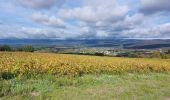 Randonnée Marche Blauvac - Un automne à Blauvac - Photo 1