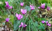 Tour Wandern Cusy - Sentier-du-Cheran-2019-09-04 - Photo 10