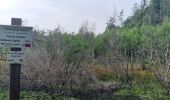 Trail On foot Bouillon - Lannoo GrWandArd 79 Bellevaux de watermolenwandeling (PVDB) - Photo 2