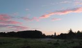 Tour Wandern Brissac-Loire-Aubance - St Rémy la Varenne - Photo 3