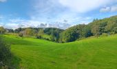 Trail Walking Sprimont - autour de dolembreux  - Photo 14
