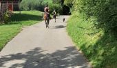 Trail Horseback riding Chainaz-les-Frasses - balade du 10.08.2019 - Photo 1