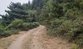 Tour Wandern L'Albère - col de l ullat . puig d orella . puîg sant cristau . col de l ullat - Photo 2