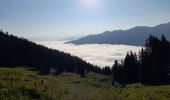 Excursión Senderismo Le Reposoir - BARGY: COL D'ENCRENAZ - PETIT BARGY - TETE DES BECUS - Photo 1