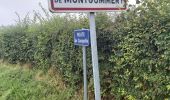 Trail Walking Val-de-Vie - Ste  Foy de Montgommery - Photo 7