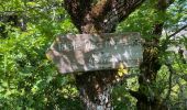 Trail Walking Trescléoux - Trescloux le Suillet - Photo 9