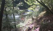 Tour Wandern Mouthier-Haute-Pierre - gorges de noailles  - Photo 18