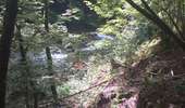 Trail Walking Mouthier-Haute-Pierre - gorges de noailles  - Photo 18