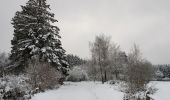 Randonnée Marche Stavelot - Hockai - Le Trôs Maret - La Fagne du Fraineu - Photo 1