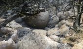 Randonnée Marche Vallon-Pont-d'Arc - Chame le Tiourre - Photo 1