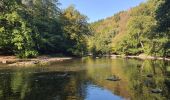 Trail Walking Florenville - rando les epioux 15/09/2020 - Photo 5