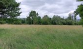 Tocht Stappen Jumièges - Boucle dans Jumièges - Photo 4