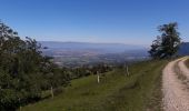 Trail Walking Cruseilles - saleve 21 05 20 - Photo 3