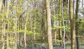 Randonnée Marche Morlanwelz - promenade bois et parc de mariemont - Photo 20