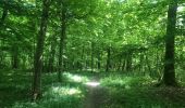 Tocht Stappen Musson - Tour de la forêt des Monts. - Photo 1