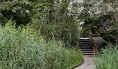 Tocht Stappen Vred - Les tourbières de Vred et les marais de la Scarpe - Photo 8