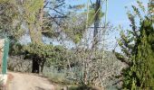 Percorso Marcia Les Arcs-sur-Argens - font du loup vers taradeau les arcs - Photo 2