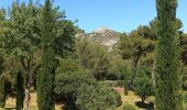 Tour Wandern Aubagne - Garlaban depuis le puits de Raimu - Photo 3