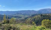 Randonnée Marche Fabras - Fabras Jaujac les orgues basaltiques  - Photo 14