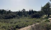 Tour Wandern Cheval-Blanc - PF-Cheval-Blanc - La Roquette - Le Trou du Rat - MDu - Photo 18