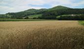 Excursión A pie Lang - Hengist Kulturwanderweg Lang Lechenbergrunde - Photo 9