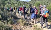Randonnée Marche Nans-les-Pins - Nans les pins - sources de l'huveaune - Photo 8