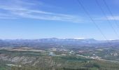 Trail Walking Sisteron - Sisteron - Molard - Photo 9