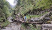 Trail Trail Gemeinde Kirchdorf in Tirol - Grießbachklamm – Wasserfall - Photo 4