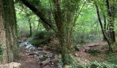 Tocht Stappen Le Broc - Pont de l'Estéron, Chapelle Sainte Marguerite, bord de l'Estéron - Photo 8