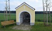 Tour Zu Fuß Beilngries - Beilngries-Altmannstein-Wanderweg - Photo 7