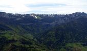 Tocht Stappen Entremont-le-Vieux - Roche-Veyrand-2021-05-21-RECO - Photo 5