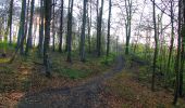 Tocht Stappen Vieux-Moulin - en forêt de Compiègne_26_la Grotte des Ramoneurs_Tournantes de la Queue de Saint-Etienne et sur la Côte de Roilaye - Photo 8