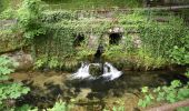 Excursión Senderismo Divonne-les-Bains - Randonnée - Photo 18