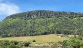 Trail Walking Belgentier - Barre de Cuers depuis Belgentier - Photo 13