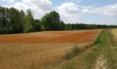 Tour Wandern Oulchy-le-Château - Oulchy le Château du 06/07/2020 - Photo 2