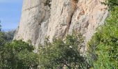 Randonnée Marche Évenos - Cap Gros en partant du col du corps de Garde - Photo 2