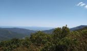 Tocht Stappen Campile - Boucle de Monte Castellare - Photo 3