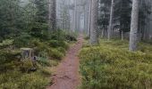 Trail Walking Aubure - Aubure rocher du tétras  - Photo 3